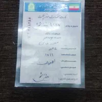 موتور گازی براوو|موتورسیکلت|تهران, شهرک دانشگاه|دیوار