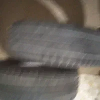 یک جفت لاستیک گلدستون
