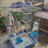 قفس|لوازم جانبی حیوانات|تهران, امیریه|دیوار