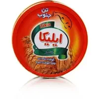 تن هوور ایلیکا