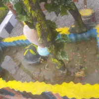 فروش خونه باغ|فروش خانه و ویلا|فیرورق, |دیوار