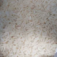 برنج فجر ،هاشمی،دمسیاه|خوردنی و آشامیدنی|تهران, راه آهن|دیوار