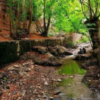 270متر ویلایی با حاشیه 12