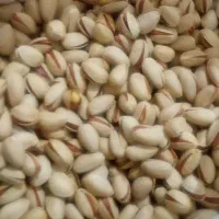 پسته درجه ۱