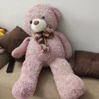 عروسک خرس بزرگ شاسخین در حد نو 350تومن