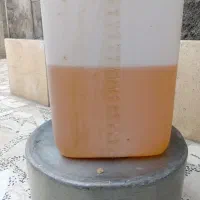 ر وغن افتاب گردان