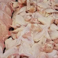 پخش مرغ و قطعه  بندی  محمدی