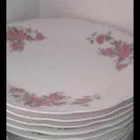 سینی. بشقاب. مشک برقی|ظروف سرو و پذیرایی|سرپل ذهاب, |دیوار