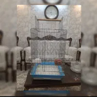 قفس ۱۰۳۳ استیل محکم مناسب انواع طوطی ها با لوازم