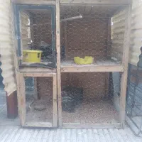 قفس چوبی