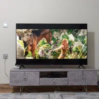 تلویزیون ۵۸ اینچ بویمن آلمانی ۵ روز کارکرد