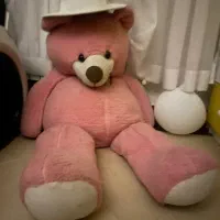 خرس بزرگ صورتی