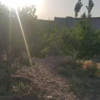 فروش زمین ۴۳۰ متری|فروش زمین و ملک کلنگی|چهارباغ, |دیوار