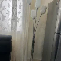 آباژور