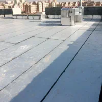 ایزوگام پدیده ی شیرزاد