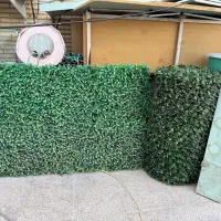 فنس چمنی و دیوار پوش چمنی