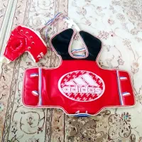 هوگو تکواندو