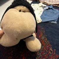 یک عدد عروسک خارجی سایز متوسط|اسباب‌‌بازی|بابلسر, |دیوار