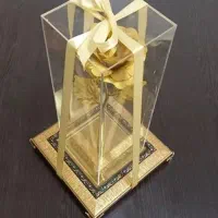 طلا پیدا شده