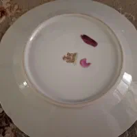بشفاب. گل سرخی  قدیمی