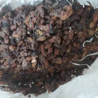 کشمش آفتابی درجه یک|عمده‌فروشی|دلیجان, |دیوار