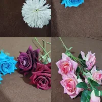 چند شاخه گل زیبا