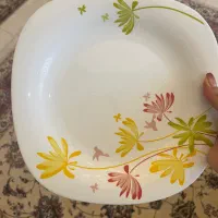 ارکوپال ایرانی|ظروف سرو و پذیرایی|کرج, کوی کارمندان جنوبی|دیوار