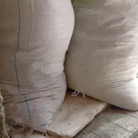 نان خشک