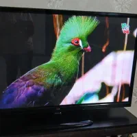 تلوزیون ال جی