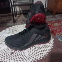 کفش|کیف، کفش، کمربند|نیشابور, فردوس شمالی|دیوار