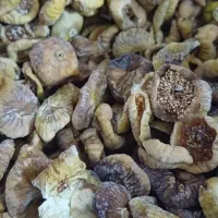 فروش انجیرخشک چیپسی|خوردنی و آشامیدنی|کهن آباد, |دیوار