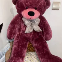 خرس وارداتی