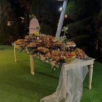 میز مزه و فینگرفود luxury