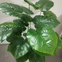 گلهای مصنوعی کنار سالنی|گل مصنوعی|مشهد, شهرک مهر آباد|دیوار