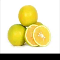 لیموشیرین درجه ۱  جهرم