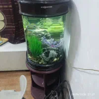 اکواریوم شرکتی شیشه خم