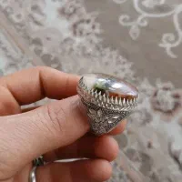 انگشتر شجر بهاره