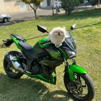 کاوازوکی z250 و 300