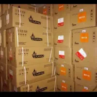 آبگرمکن دیواری بوتان