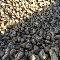 بارگیری به کارخانه همدان