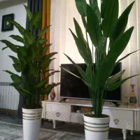 گلکده
