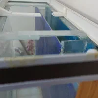 آکواریوم شیشه خم ماهیران بک سامپ|ماهی|قزوین, |دیوار