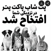 یاری در انتخاب نیروی پت شاپ|فعالیت داوطلبانه|تهران, تهرانپارس شرقی|دیوار