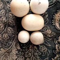 سنگ آسیاب