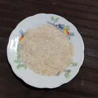 برنج لاشه شمال
