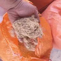خاک اره|خدمات باغبانی و درختکاری|آسارا, |دیوار