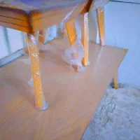 میز جلو و عسلی|مبلمان خانگی و میز عسلی|قرچک, مهدیه|دیوار