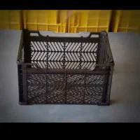 سبد میوه