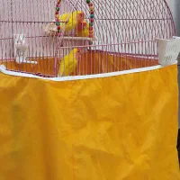 قفس کوتوله سر هلویی مولد|پرنده|خمینی‌شهر, |دیوار