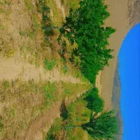 باغ|فروش زمین و ملک کلنگی|دینور, |دیوار